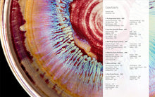 Load image into Gallery viewer, AMAZING GLAZE, RECIPES & COMBINATIONS