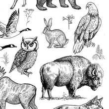 Load image into Gallery viewer, Underglaze Decal - Forest Animals