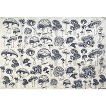 Load image into Gallery viewer, Decal Transfer - Mushrooms