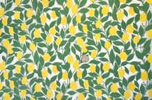 Load image into Gallery viewer, UNDERGLAZE DECAL TRANSFER - LEMONS PATTERN