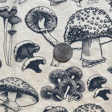 Load image into Gallery viewer, ELAN TRANSFERS UNDERGLAZE DECAL - MUSHROOMS NATURAL
