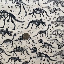 Load image into Gallery viewer, ELAN TRANSFERS UNDERGLAZE DECAL - DINOSAURS
