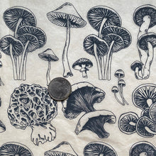 Load image into Gallery viewer, ELAN TRANSFERS UNDERGLAZE DECAL - MUSHROOMS NATURAL
