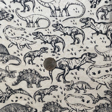 Load image into Gallery viewer, ELAN TRANSFERS UNDERGLAZE DECAL - DINOSAURS
