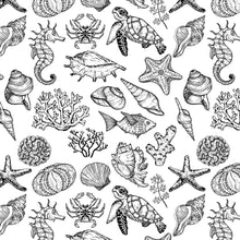 Load image into Gallery viewer, UNDERGLAZE DECAL TRANSFER  - SEA SHELLS
