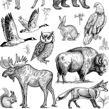 Load image into Gallery viewer, UNDERGLAZE DECAL TRANSFER  - FOREST ANIMALS
