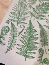 Load image into Gallery viewer, ELAN TRANSFERS UNDERGLAZE DECAL  - JUNGLE FERNS
