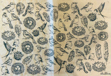 Load image into Gallery viewer, ELAN TRANSFERS UNDERGLAZE DECAL - NESTS

