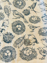 Load image into Gallery viewer, ELAN TRANSFERS UNDERGLAZE DECAL - NESTS
