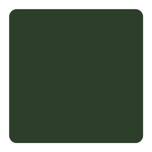Load image into Gallery viewer, MASON® STAIN 6202, FLORENTINE
