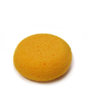 3" Hydra Sponge