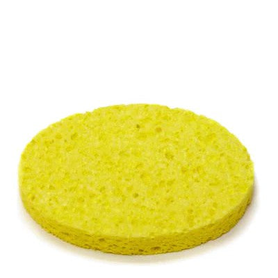 Oval Cellulose Sponge