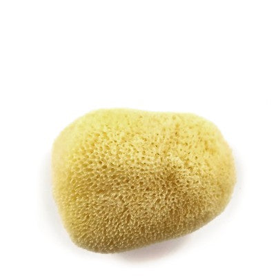 Silk Sponge