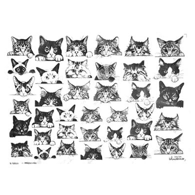 Underglaze Decal - Cats