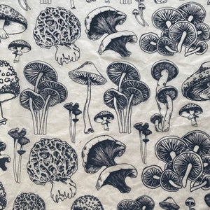 Decal Transfer - Mushrooms