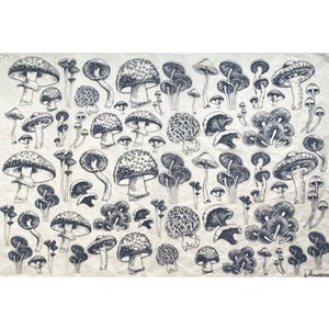 Decal Transfer - Mushrooms