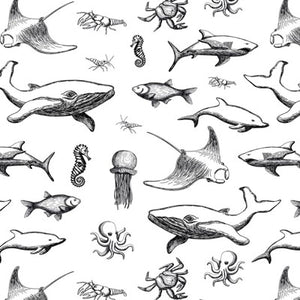 Underglaze Decal - Ocean Creatures