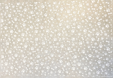 Load image into Gallery viewer, ELAN TRANSFERS UNDERGLAZE DECAL - PAW PRINTS (WHITE)
