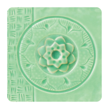 Load image into Gallery viewer, AMACO SUCCULENT C-24
