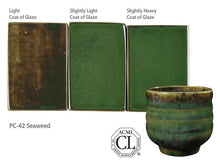 Load image into Gallery viewer, AMACO SEAWEED PC-42
